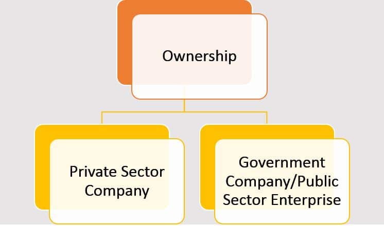 Different Types of Companies in India - On the basis of ownership