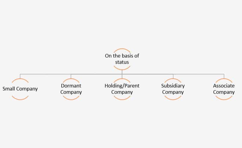 Different Types Of Companies In India