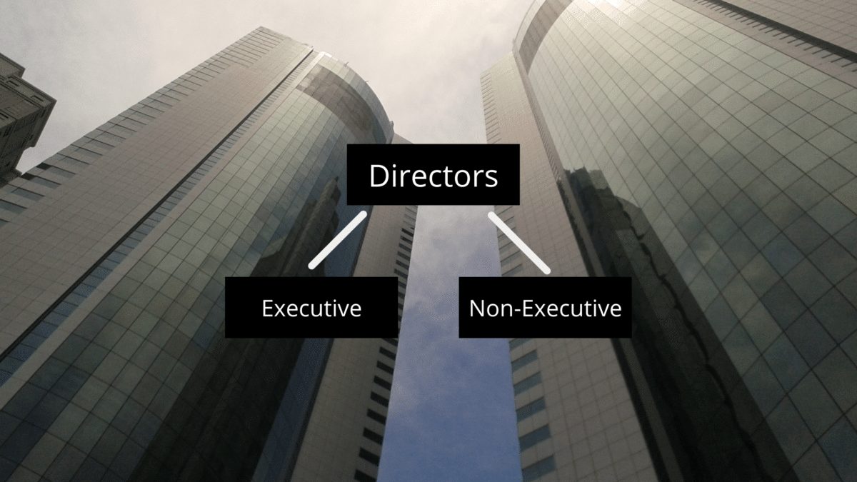 who-can-become-a-director-of-a-company-in-india