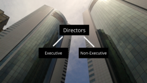 Who can become a director of a company in India - Types of directors